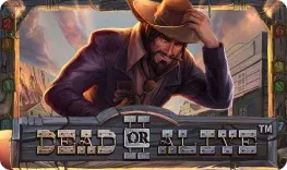 Dead or Alive 2 slot at Fortune Clock Casino